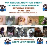 colonial_petsmart_June22