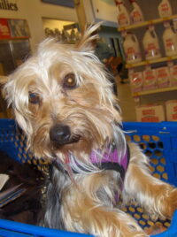 Jingles/Clearwater