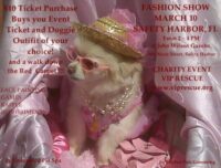 VIP RESCUE FASHION SHOW SAFETY HARBOR FLORIDA MARCH 10th