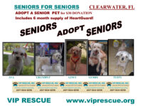 SENIORS for SENIORS – Extended until June 1st !!