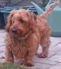 Annie B/ Clearwater