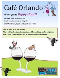 VIP RESCUE ADOPTION EVENT, SAFETY HARBOR, JUNE 29, 2013