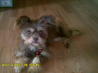 CANDICE (CANDY) / ORLANDO