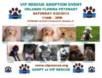 VIP RESCUE ADOPTION EVENT SATURDAY JUNE 22 ORLANDO 11-3
