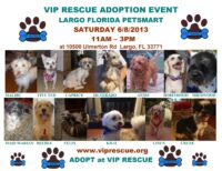 JUNE 8 ADOPTION EVENT LARGO FLORIDA at PETSMART