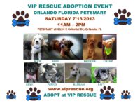 VIP RESCUE ADOPTION EVENT ORLANDO SATURDAY 7/13/2013