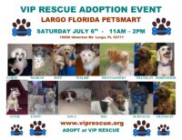 VIP RESCUE ADOPTION EVENT JULY 6 LARGO FLORIDA from 11AM – 2PM