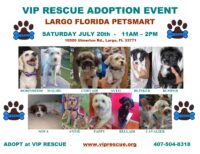 VIP RESCUE ADOPTION EVENT 7/20/13 LARGO FLORIDA