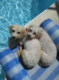 Thelma and Louise/Clearwater