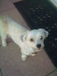 Tippy/Clearwater