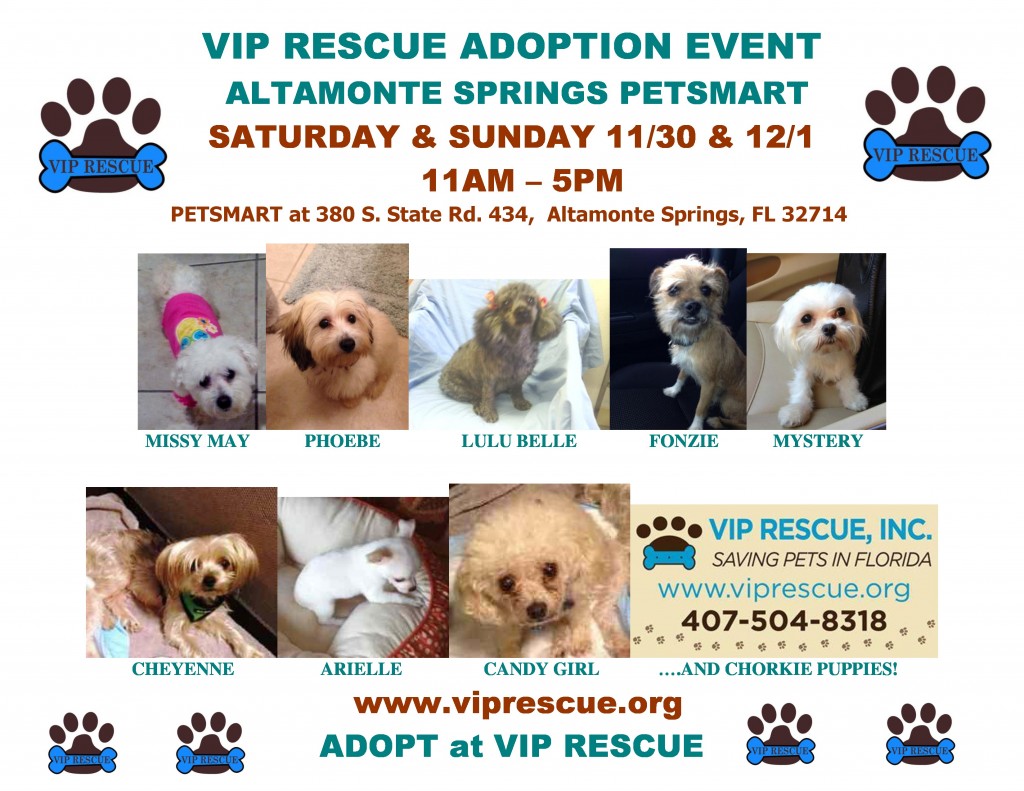11.30.2013AltamonteSprings.petsmart