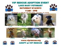 VIP RESCUE ADOPTION EVENT SEPTEMBER 14 PETSMART LAKE MARY FLORIDA 11 – 3