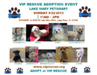 VIP RESCUE ADOPTION EVENT – SEPTEMBER 22 PETSMART LAKE MARY FLORIDA 11 – 2