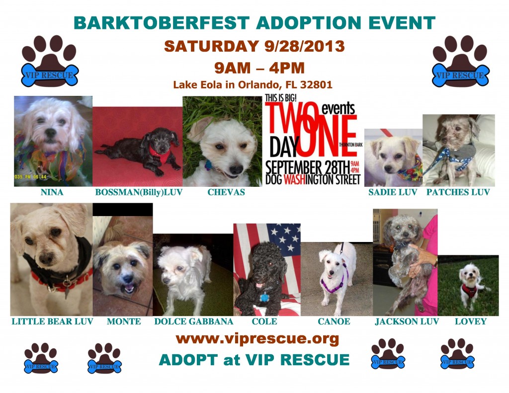 9.28.2013Barktoberfest.Lake Eola