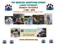VIP RESCUE ADOPTION EVENT – OCTOBER 13 PETSMART LARGO FLORIDA 11 – 2