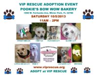 VIP RESCUE ADOPTION EVENT – OCTOBER 5 – POOKIE’S – WINTER PARK, FLORIDA 11am – 2pm
