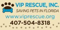 VIP RESCUE ADOPTION EVENT – NOVEMBER 16 PETSMART LARGO FLORIDA 11 – 3