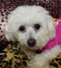 MISSY MAY / ORLANDO