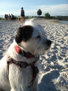 VIP Moe beach  2