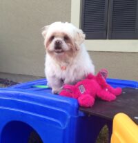 Bruce/Citrus Park