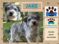 Jake/Largo