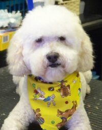 Snoopy/ Clearwater