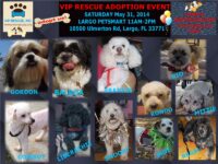VIP RESCUE ADOPTION EVENT LARGO PETSMART FLORIDA MAY 31st, 2014 Saturday 11AM to 2PM