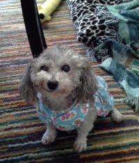 MITZIE / TAMPA