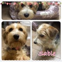 Sable/Clearwater