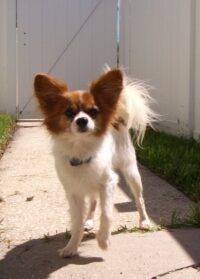 Louie/Clearwater