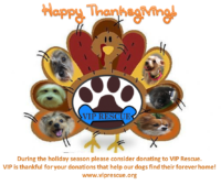 Happy Thanksgiving from VIP