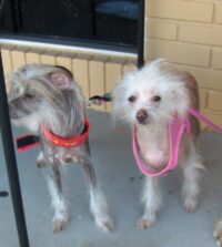 Tiara and Kayla /Clearwater