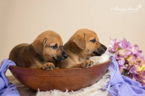 vip lucy lily profile 5 6