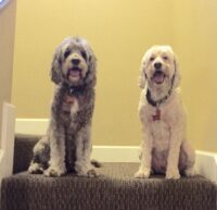 Teddy and Charley