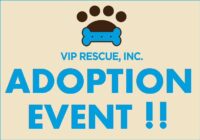 Adoption event! PetSmart Largo November 11, 2017 from 11AM to 1PM