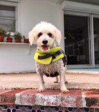 Wilbur/St Pete