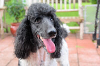 JASMINE / Port Orange, FL