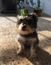 Ruff Lauren/Seminole