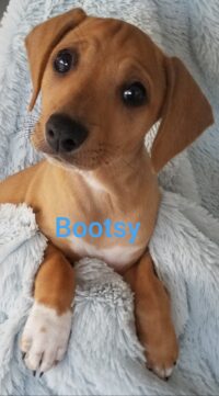 Bootsy/Clearwater