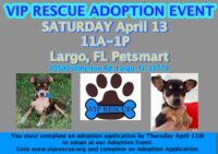 Adoption Event RESCHEDULED to April 13, Saturday at Largo Petsmart