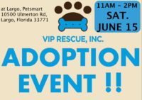 Adoption Day – Saturday, June 15, 2019