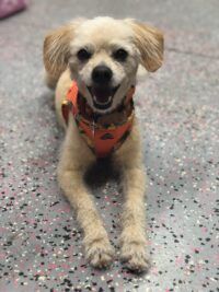 CHARLEY / LEESBURG, FL