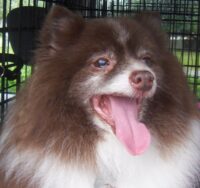 Toby/Seminole