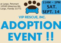 ADOPTION EVENT SAT Sept 14 from 11AM-1PM in Largo Florida at Petsmart