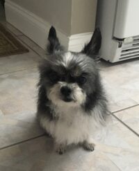 Ella/Seminole