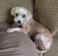 Simply Susie/Clearwater