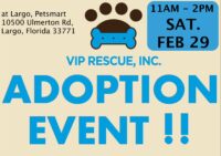 VIP RESCUE ADOPTION EVENT FEB 29th LARGO FL