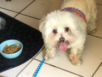 Winnie/Seminole