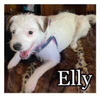 Elly/Cirtus Park