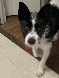 Theo/Seminole